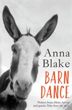Capa do artigo Barn Dance