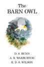 Barn Owl - Preview