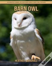 Barn Owl