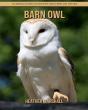 Barn Owl - Preview