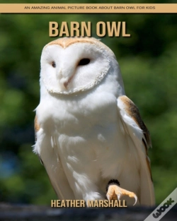 Capa do artigo Barn Owl