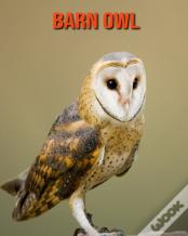 Barn Owl