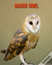 Capa do artigo Barn Owl