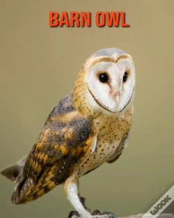 Capa do artigo Barn Owl