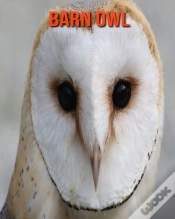 Capa do artigo Barn Owl