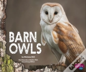 Capa do artigo Barn Owls