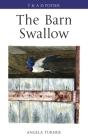 Barn Swallow - Preview