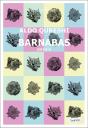 Barnabas - Preview