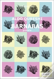 Capa do artigo Barnabas