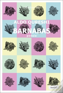 Capa do artigo Barnabas