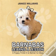 Barnabas Learns A Lesson