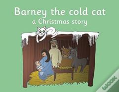 Barney The Cold Cat