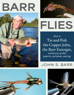 Capa do artigo Barr Flies