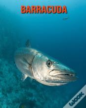 Barracuda