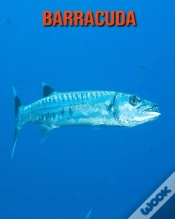 Capa do artigo Barracuda