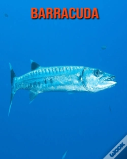 Capa do artigo Barracuda