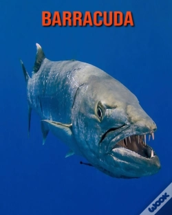 Capa do artigo Barracuda