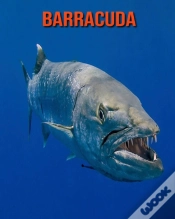 Capa do artigo Barracuda