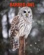 Barred Owl - Preview