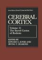 Barrel Cortex Of Rodents - Preview