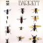 Barrett - CD - Preview
