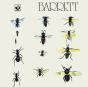 Barrett - Vinil - Preview