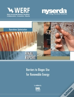 Capa do artigo Barriers To Biogas Use For Renewable Energy