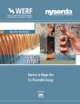Barriers To Biogas Use For Renewable Energy - Preview