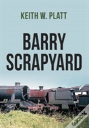 Capa do artigo Barry Scrapyard