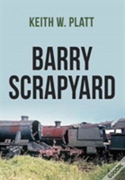 Capa do artigo Barry Scrapyard