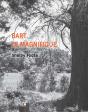 Bart Le Magnifique - Preview