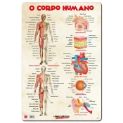 Capa do artigo Base Didatica O Corpo Humano 60X40Cm Ldpp-225