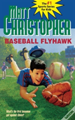 Capa do artigo Baseball Flyhawk