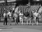 Baseball'S Endangered Species - Preview