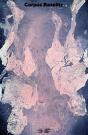 Baselitz, Corpus - Preview