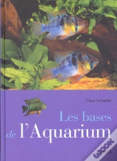 Bases De L'Aquarium