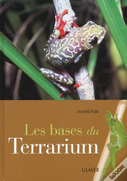 Capa do artigo Bases Du Terrarium
