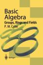 Basic Algebra - Preview