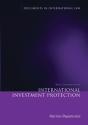 Basic Documents On International Investment Protection - Preview