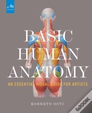 Basic Human Anatomy