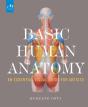 Basic Human Anatomy - Preview