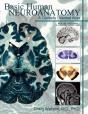 Basic Human Neuroanatomy - Preview