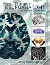 Capa do artigo Basic Human Neuroanatomy