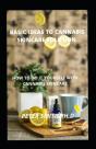 Basic Ideas To Cannabis Skincare Solution - Preview