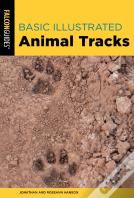 Basic Illustrated Animal Tracks