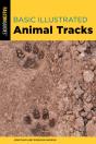 Basic Illustrated Animal Tracks - Preview