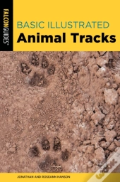 Basic Illustrated Animal Tracks