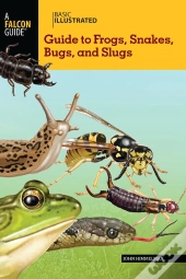 Basic Illustrated Guide To Frogs, Snakes, Bugs, And Slugs