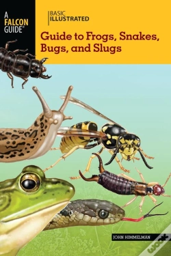 Capa do artigo Basic Illustrated Guide To Frogs, Snakes, Bugs, And Slugs
