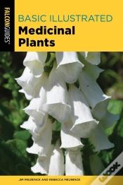 Capa do artigo Basic Illustrated Medicinal Plants